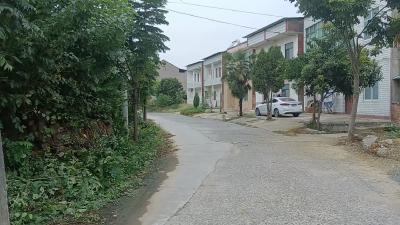 村民“点单”立见效！沉湖镇主干道拐角实现“隐患清零”