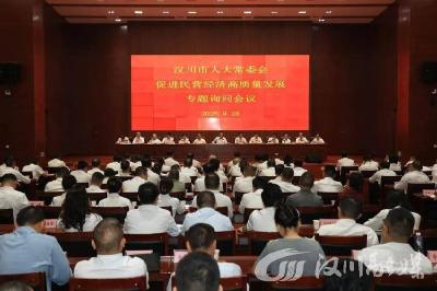 【视频】市人大常委会促进民营经济高质量发展专题询问会议举行
