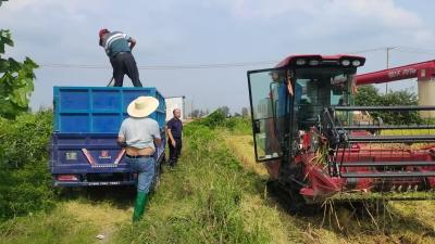 韩集乡：干部深入田间地头 严把低茬收割“质量关”