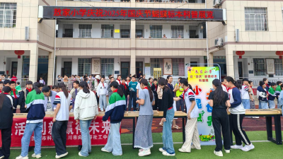 马口镇敖家小学开展蝴蝶标本主题参观活动