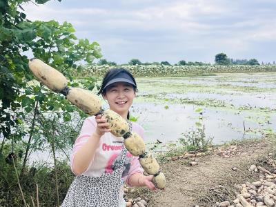 秋色满园迎客来，五丰村野趣引燃武汉市民打卡热