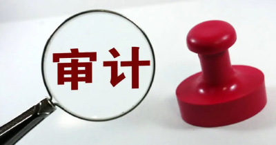 汉川审计：参与农村集体“三资”管理“回头看” 助力提升集中整治成效