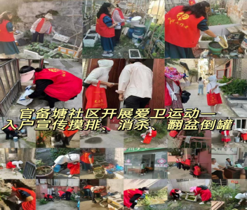 官备塘社区爱卫行动：多管齐下，共筑基孔肯雅热防控屏障