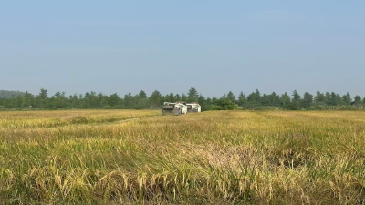 分水镇余台村：低茬收割 筑牢生态农业根基