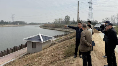 麻河镇：莫道桑榆晚 银发也能促发展