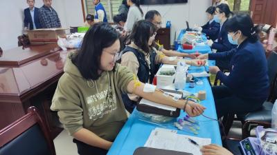 马鞍乡中小学教师踊跃参与无偿献血，彰显教育担当