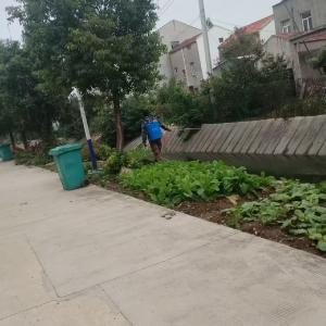 汈东街道筑牢基孔肯雅热防控屏障