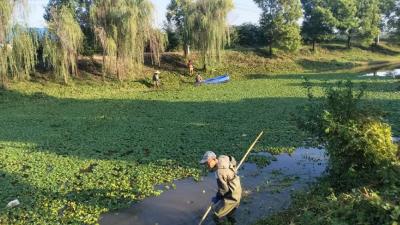 湾潭乡：清淤护河焕新颜 共绘蓝天碧水图