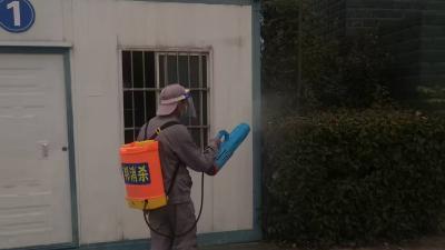 汉川东风小学开展“清死角灭蚊虫”专项行动 筑牢校园健康防线