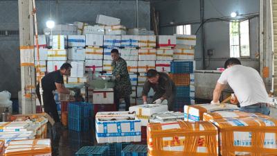 湖北拓宏农业：贴心服务解农忧 千余养殖户增收有“靠山”