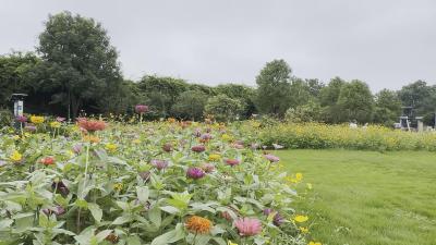 【视频】从“看风景”到“办喜事”田水湾奏响文旅融合新篇章