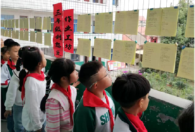 分水镇：“豆”趣作业展风采 以展促学育新苗