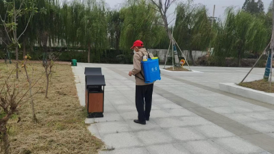 分水镇：全面推进基孔肯雅热防控 筑牢健康防线