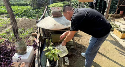 精准施策筑牢防线  脉旺镇开展基孔肯雅热专项防控行动