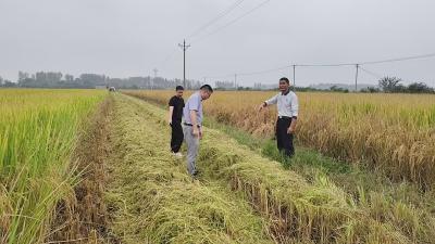 国庆监督“不打烊” 韩集乡筑牢纪律与禁烧“双防线”