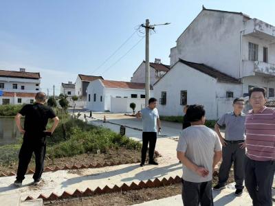 乡村绿化新格局 分水镇这样建设“万树村”