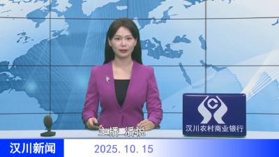 汉川新闻20251015