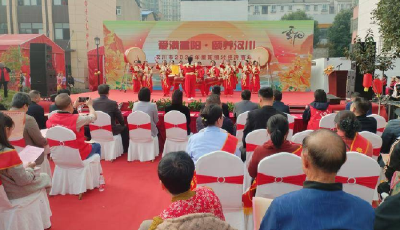 汉川市举办重阳银发经济嘉年华活动