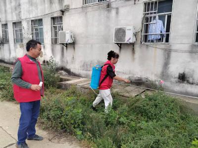 垌塚镇：积极开展爱国卫生运动 全力防控蚊媒传染病