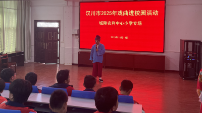 汉川市农利小学：戏曲浸润童心，弘扬国粹经典