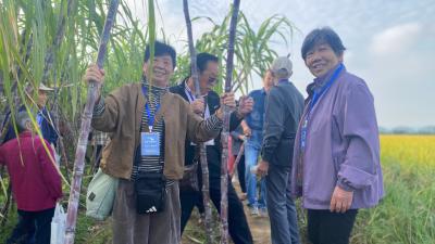 刘家隔镇：创新“农业+旅游”模式 激发乡村发展活力