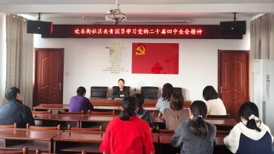 社区宣讲传精神 青春热议话担当——汉川市欢乐街社区掀起学习二十届四中全会精神热潮