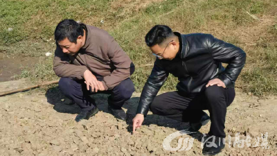 西江乡有序开展永久基本农田“非粮化”整改工作