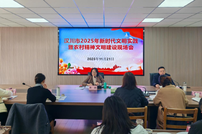 汉川市2025年新时代文明实践暨  农村精神文明建设工作推进会召开