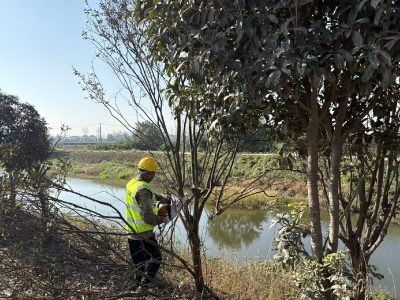 扮靓“门户通道” 庙北线沿线环境整治 初见成效