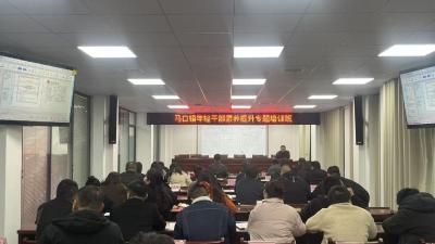 马口镇：年轻干部培训班赋能高质量发展