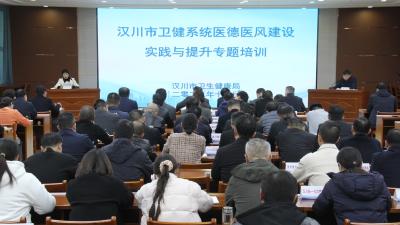 汉川市卫健系统召开医德医风建设专题培训会