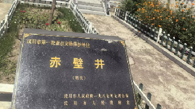 赤壁遗韵，稻香中洲：一座农场的千年文脉与今朝风华