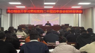 马口镇深入学习贯彻党的二十届四中全会精神