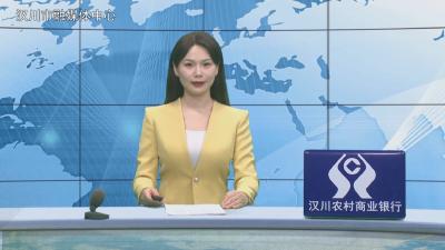 汉川新闻20251119