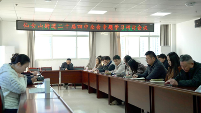 仙女山街道召开专题会议学习贯彻党的二十届四中全会精神