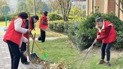 党建引领聚合力 共建共治绘就小区文明新画卷