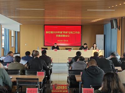 脉旺镇：线上线下宣传+绿色通道 全力推进2026年“两保”征收工作