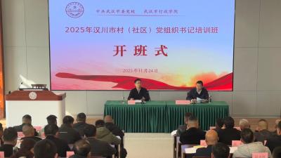 赋能“头雁”振乡村！汉川市2025年村（社区）党组织书记培训班开班