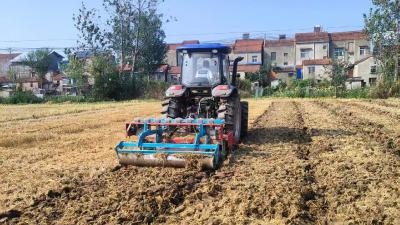 秋冬的田野上，西江乡绘就来年“丰收图”