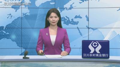 汉川新闻20251110