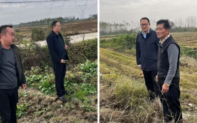 新堰镇：秸秆清零“全域覆盖” 冬播生产“满弓发力”