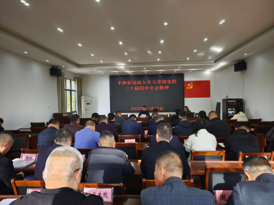 中洲农场专题学习贯彻党的二十届四中全会精神