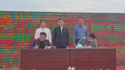 【视频】稻花香里庆丰年 麻河糯稻丰收节圆满举办