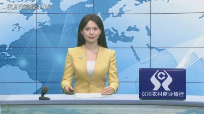 汉川新闻20251126