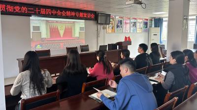 青春话担当 全会精神进社区