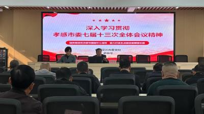 西江乡深入学习贯彻孝感市委七届十三次全会精神