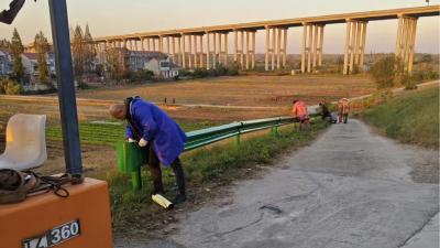 沉湖镇装上“生命栏”，乡村路秒变“温暖通道”