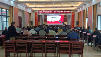 沉湖镇召开党的二十届四中全会精神学习宣讲会