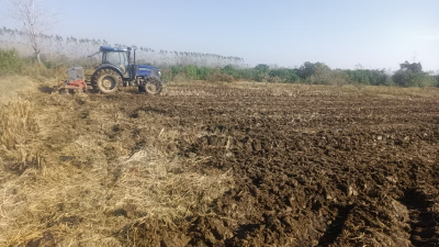 回龙镇：冬播正当时 夯实“米袋子”