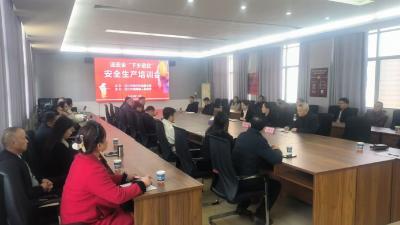 城隍镇开展“送安全进企”培训 筑牢安全生产防线